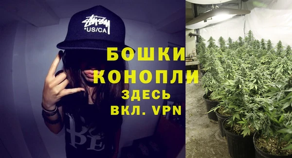 ALPHA PVP Киренск