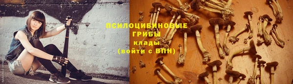 скорость mdpv Кинешма